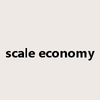scale economy是什么意思
