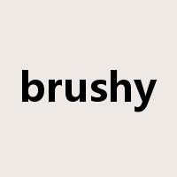 brushy是什么意思