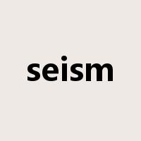 seism是什么意思