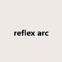 reflex arc是什么意思