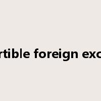 convertible foreign exchange是什么意思