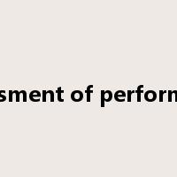 assessment of performance是什么意思