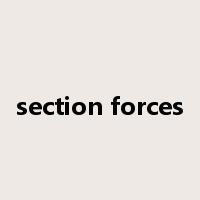 section forces是什么意思