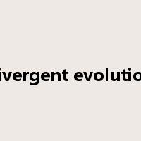 divergent evolution是什么意思