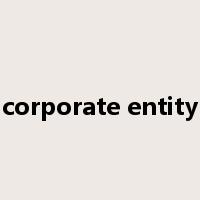 corporate entity是什么意思