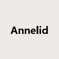 Annelid是什么意思