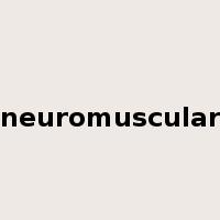neuromuscular是什么意思