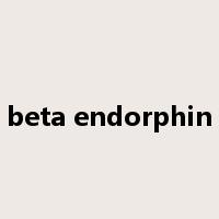 beta endorphin是什么意思