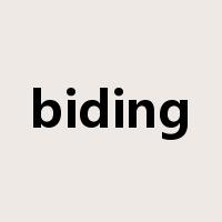 biding是什么意思