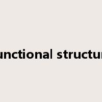 functional structure是什么意思