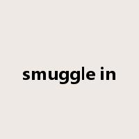 smuggle in是什么意思