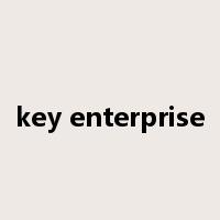 key enterprise是什么意思