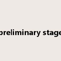 preliminary stage是什么意思