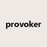 provoker是什么意思