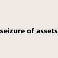 seizure of assets是什么意思