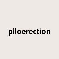 piloerection是什么意思