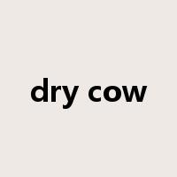 dry cow是什么意思