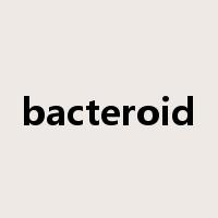 bacteroid是什么意思