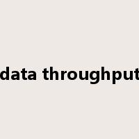 data throughput是什么意思