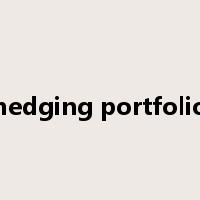 hedging portfolio是什么意思