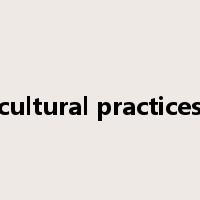 cultural practices是什么意思