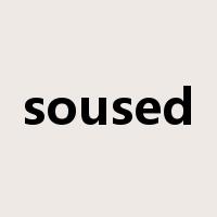 soused是什么意思