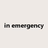 in emergency是什么意思