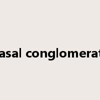 basal conglomerate是什么意思