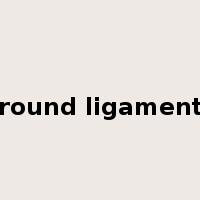 round ligament是什么意思