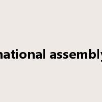 national assembly是什么意思