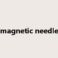 magnetic needle是什么意思