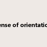 sense of orientation是什么意思