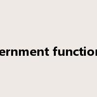 government functionary是什么意思