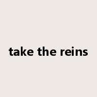 take the reins是什么意思