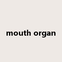 mouth organ是什么意思
