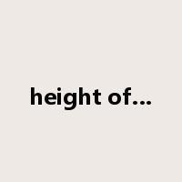 height of…是什么意思