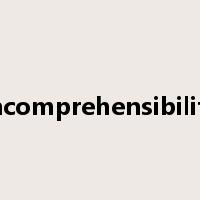 incomprehensibility是什么意思