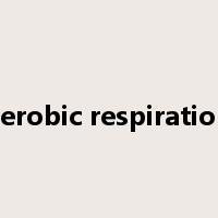 aerobic respiration是什么意思