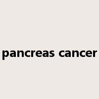 pancreas cancer是什么意思