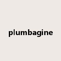 plumbagine是什么意思