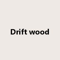 Drift wood是什么意思