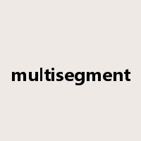 multisegment是什么意思