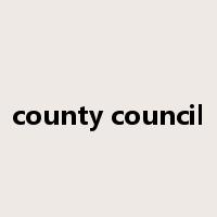 county council是什么意思