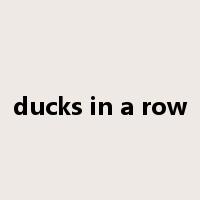 ducks in a row是什么意思