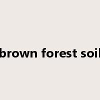 brown forest soil是什么意思