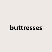 buttresses是什么意思