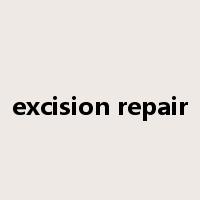 excision repair是什么意思