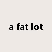 a fat lot是什么意思