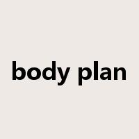 body plan是什么意思