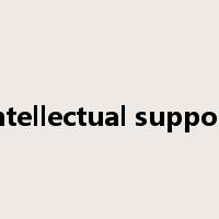 intellectual support是什么意思